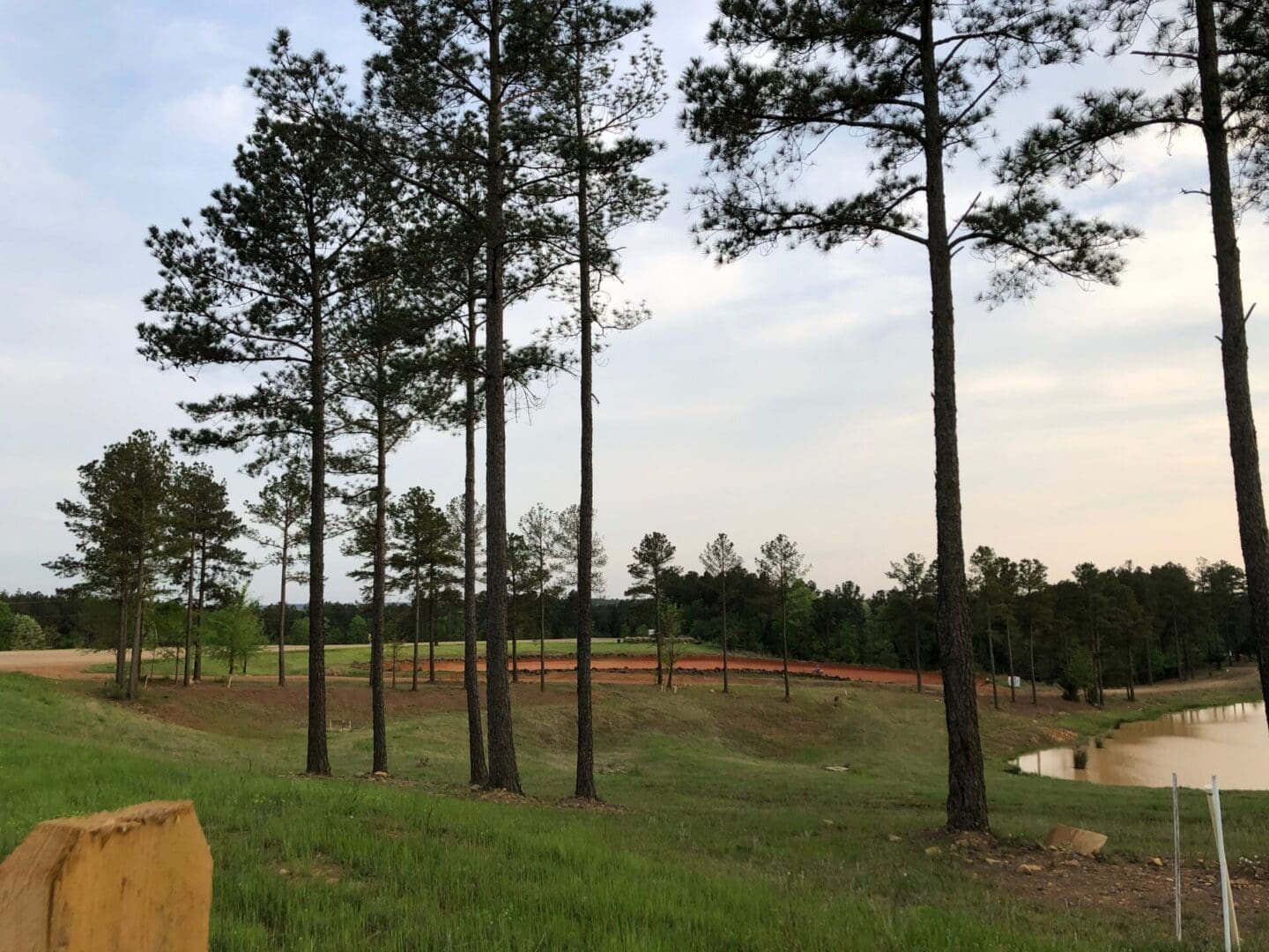 Pine trees beside trails and a pond in Winnsboro, South Carolina