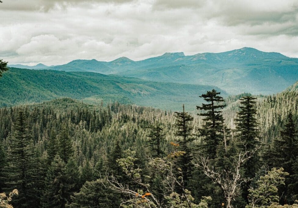 A view of the mountains from above with trees in the foreground.